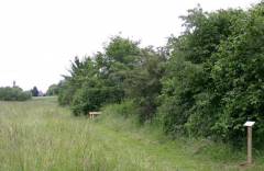 Grossansicht in neuem Fenster: Naturerlebnisraum Rettenbach - Lebensraum Hecke