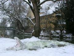 Grossansicht in neuem Fenster: Agenda 21 - Rosa Flamingos am Balkspitz - Bild 4