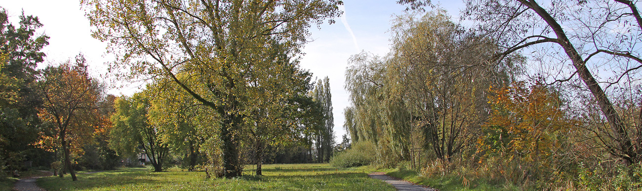 Headerbild 6